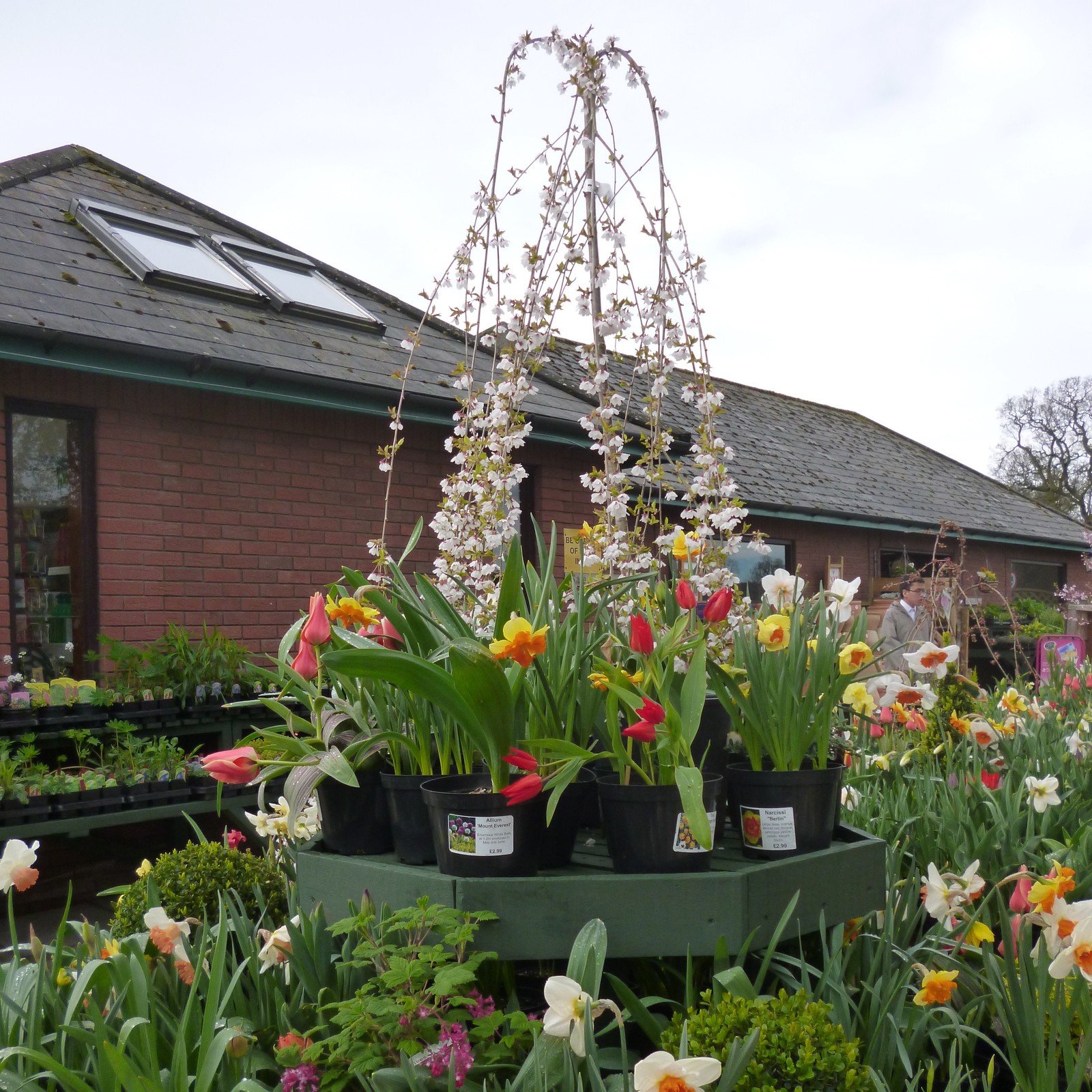 visit the garden centre at derwen college - open daily