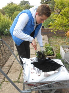 At Derwen College, George learnt horticulture skills that have helped him get work.