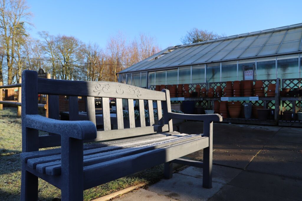 Garden Centre, January frost