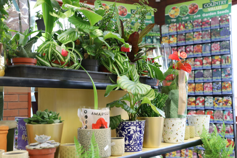 Garden Centre indoor plants