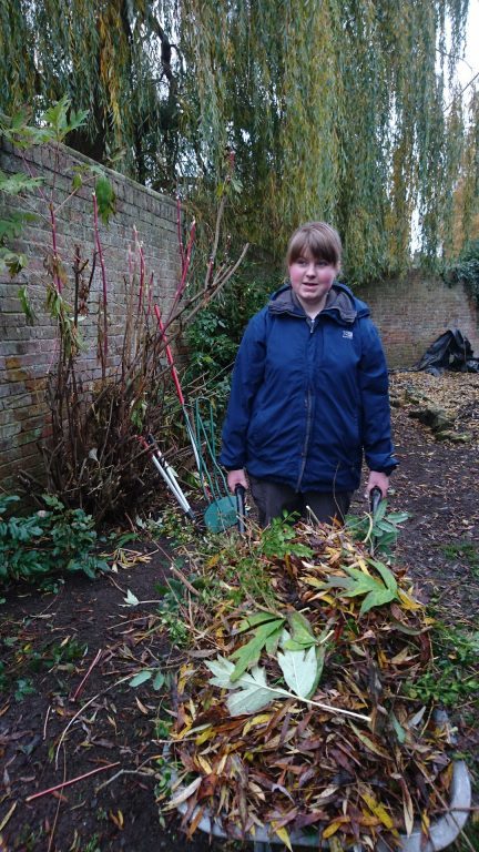 Student carries a wheelbarrow full of autumn leaves.
