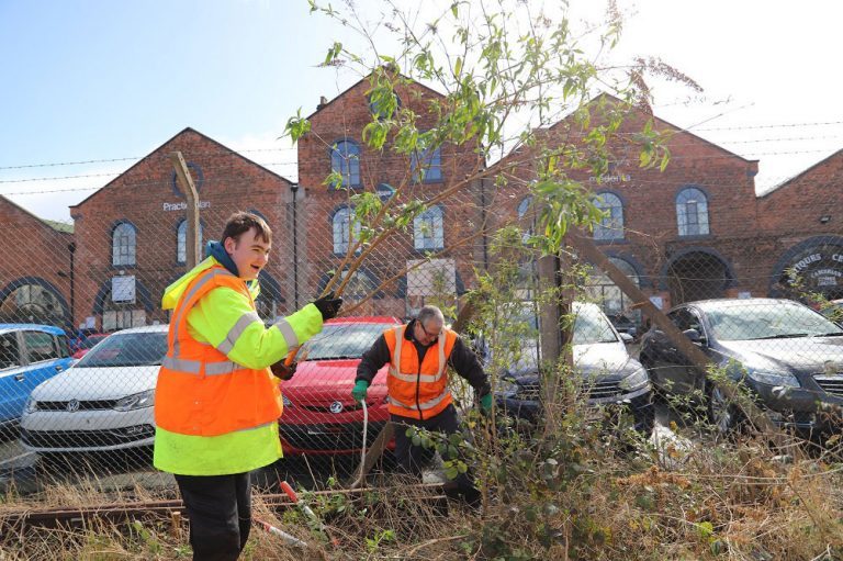 Cambrian Heritage Railways Volunteer Coordinator Phil cuts back a small tree, passing branches to Derwen student Harry to throw to one side 