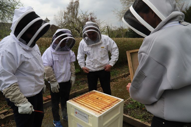 The beekeeping team of four - dressed in beekeeping gear - check the hives.