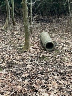 Hedgehog house in the woodland walk