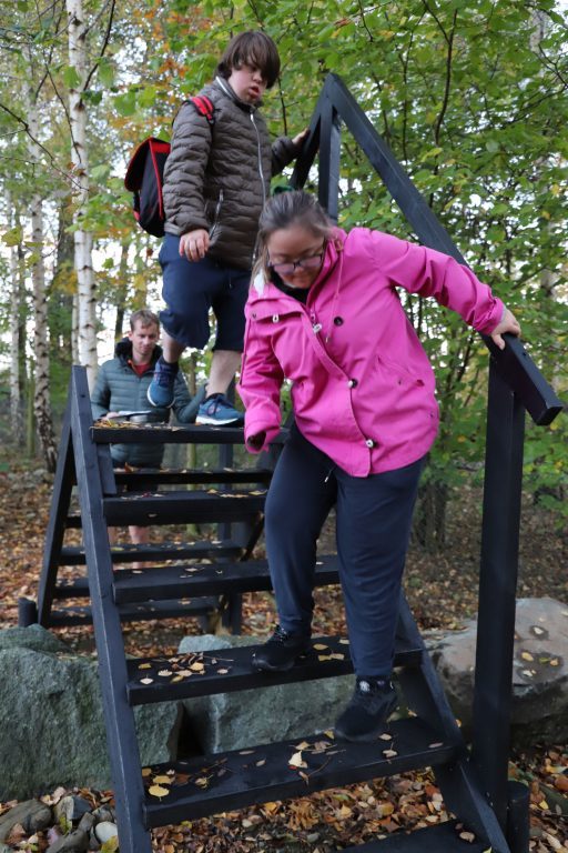 Students climbing over a ladder stile