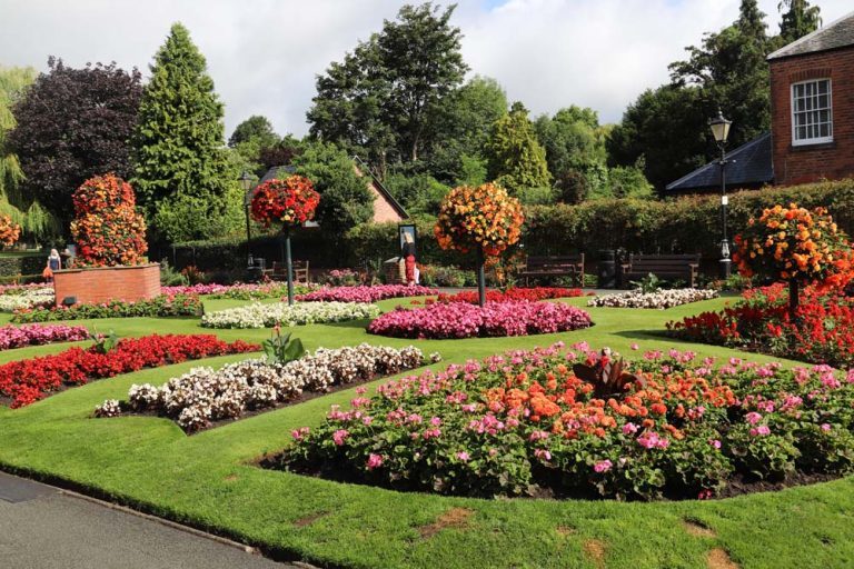 Stunning pink, orange and red bedding plants in the main beds and planters in Oswestry's Cae Glas Park.