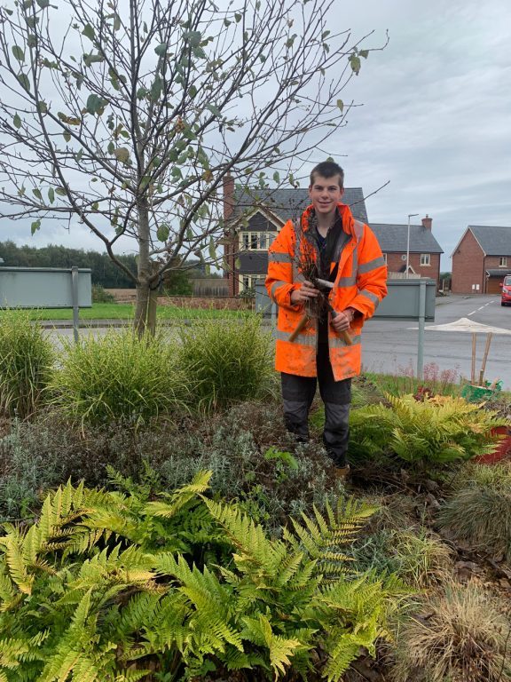 Oliver, dressed in high vis jacket, stood with shears in the middle of a plant-covered roundabout.