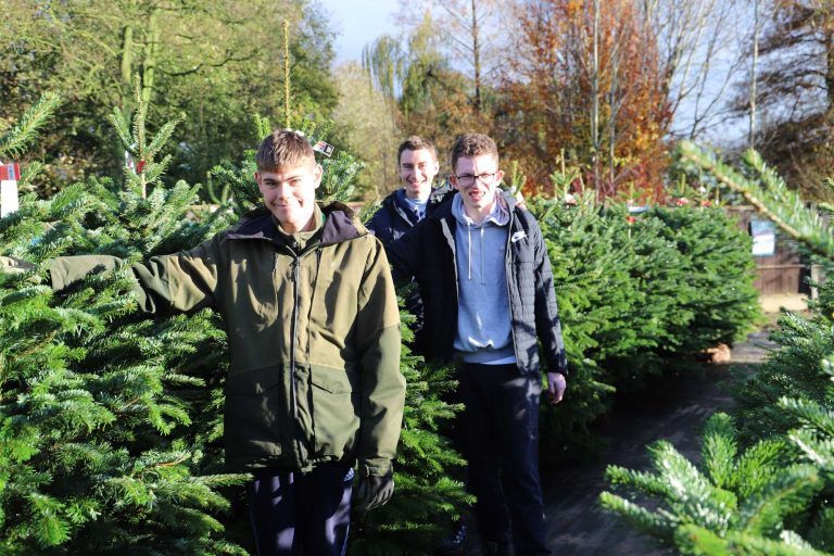 Three Horticulture students standing next to Christmas trees