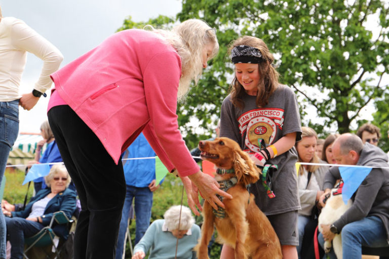 Dog show