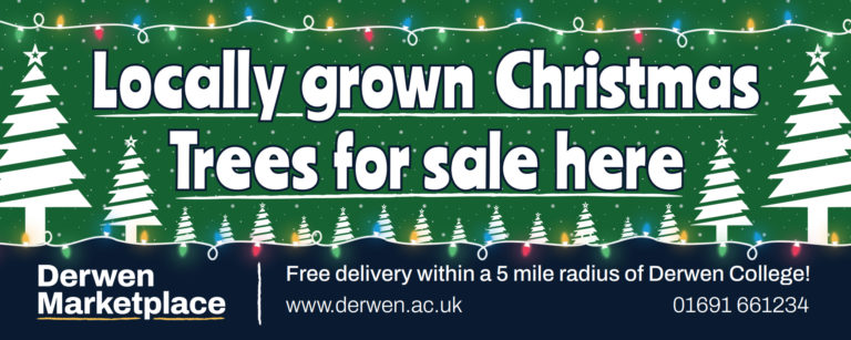 Locally grown Christmas Trees for sale