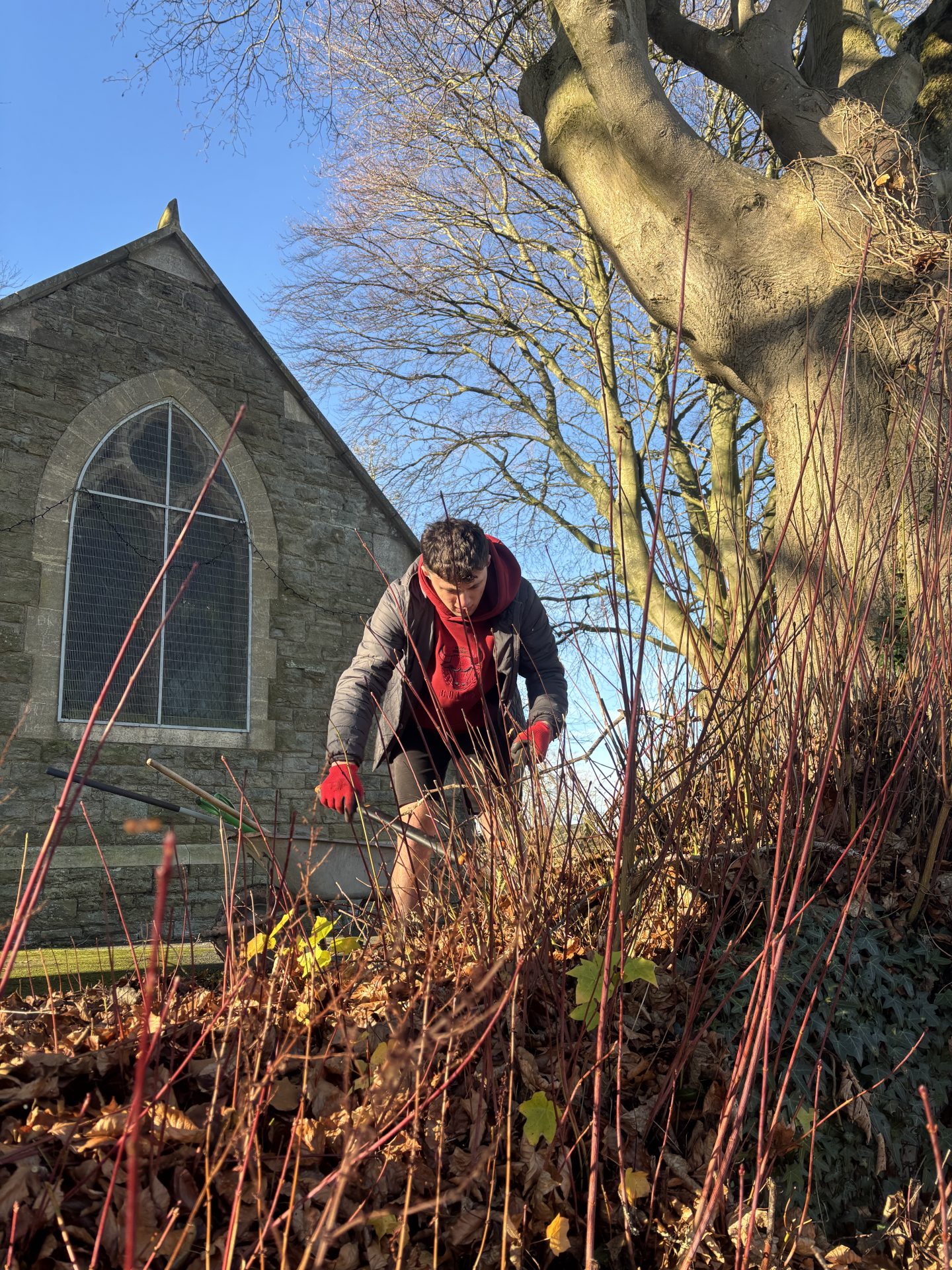 Ludlow students thrive on weekly work placements