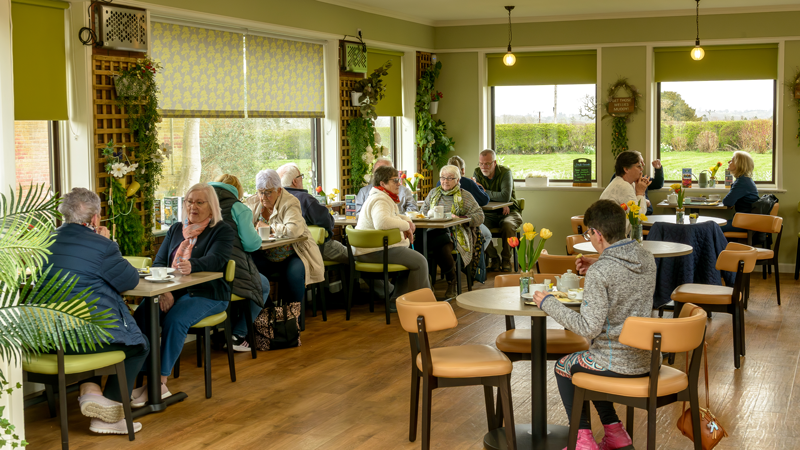 People sitting in a cafe
