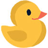 duck