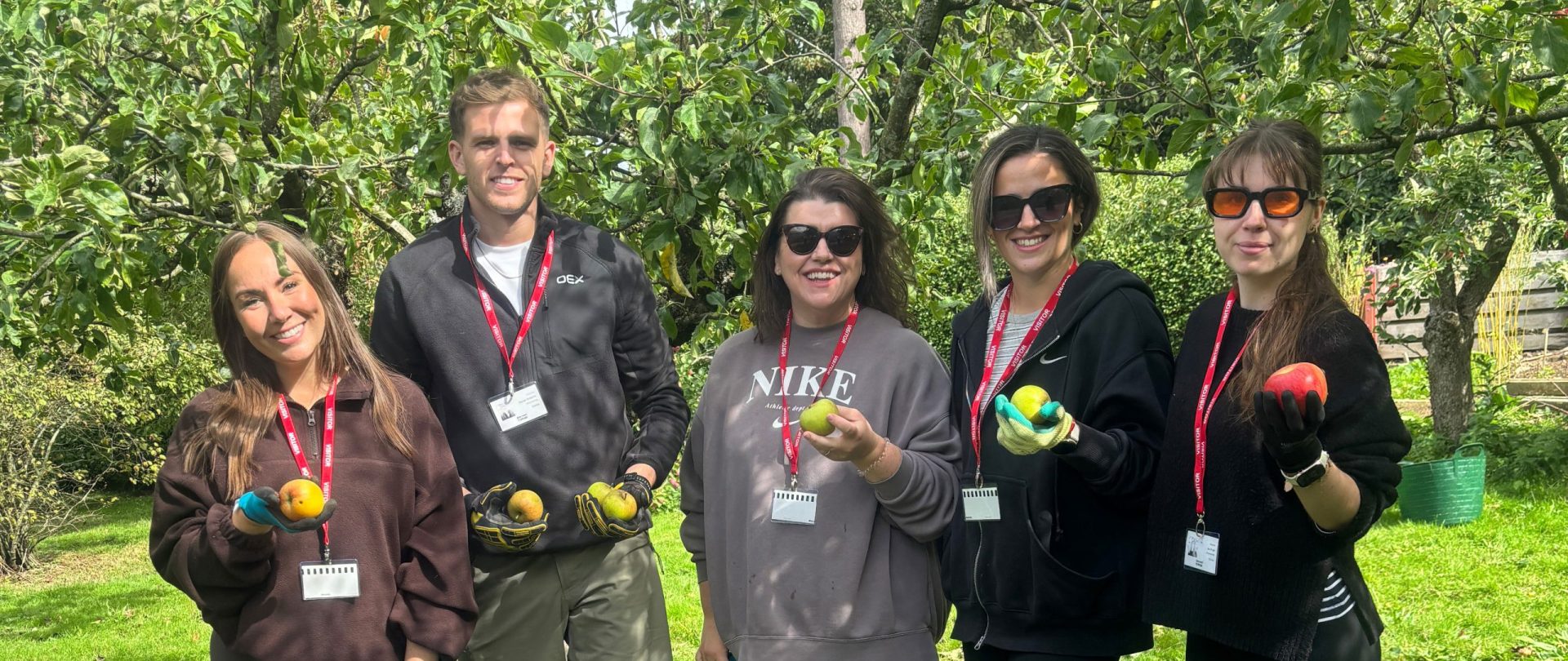Practice Plan team roll up their sleeves for volunteer day