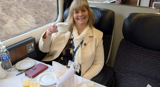 WhatsApp Image 2026-03-03 at 11.13.58